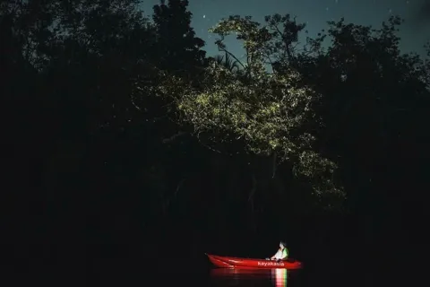 Bohol: Abatan River Firefly Kayaking Eco-Tour