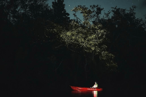 Bohol: SUSTAINABLE Mangrove Tunnels & Firefly Kayaking trail