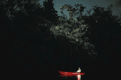 Bohol: Abatan River Firefly Kayaking Eco-Tour - Image 3