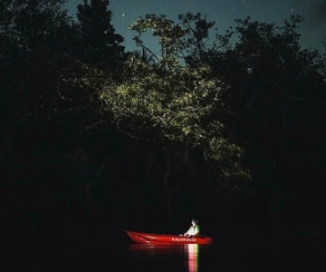 Bohol: Abatan River Firefly Kayaking Eco-Tour