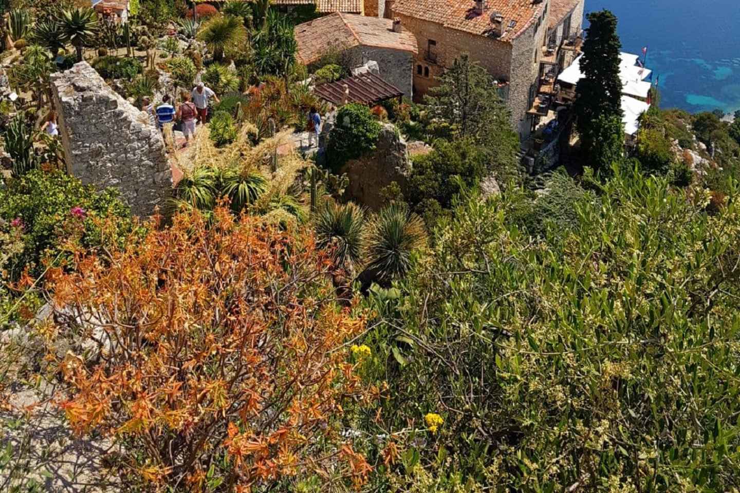 Da Nizza e Antibes: Tour Monaco ed Eze con Transfer Hotel