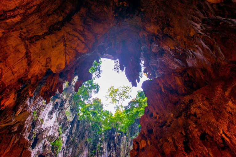 Kuala Lumpur: Batu Caves, Temples and Banana Leaf Rice Tour Shared Tour