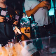 Premium Pub Crawl with VIP Bottle Service — photo 2