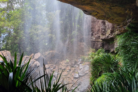 Gold Coast: Esperienza con canguri, foresta pluviale e cascateTour per piccoli gruppi