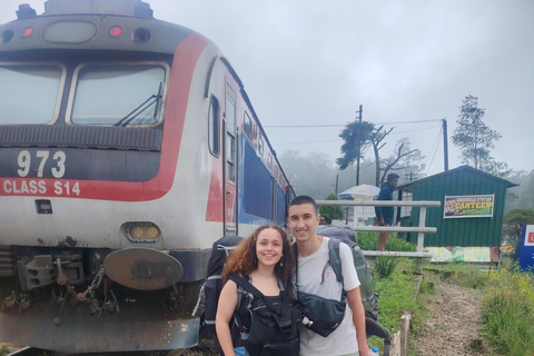 From Kandy: Nuwara Eliya Private Day Trip with Tea Factory