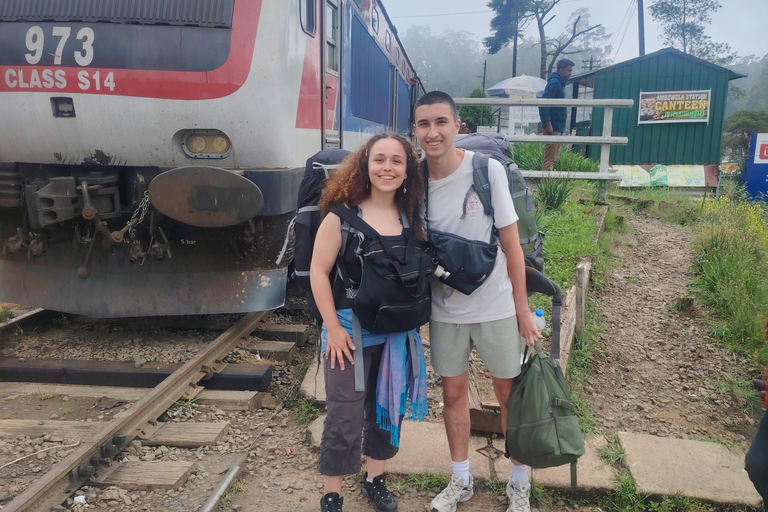 From Kandy: Nuwara Eliya Private Day Trip with Tea Factory