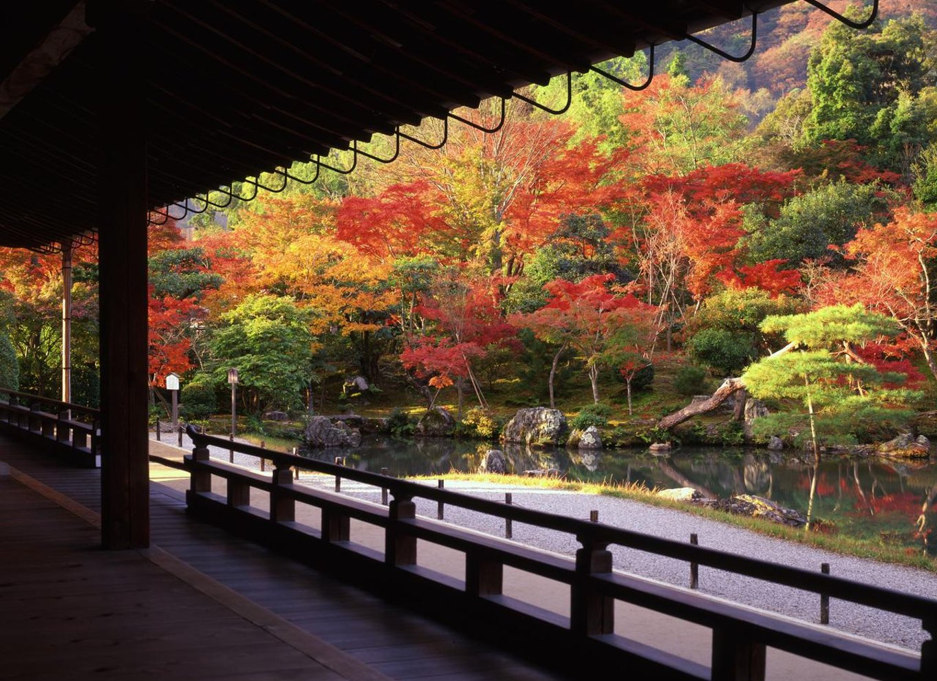 Kyoto: Heldagstur med de bedste UNESCO- og historiske steder