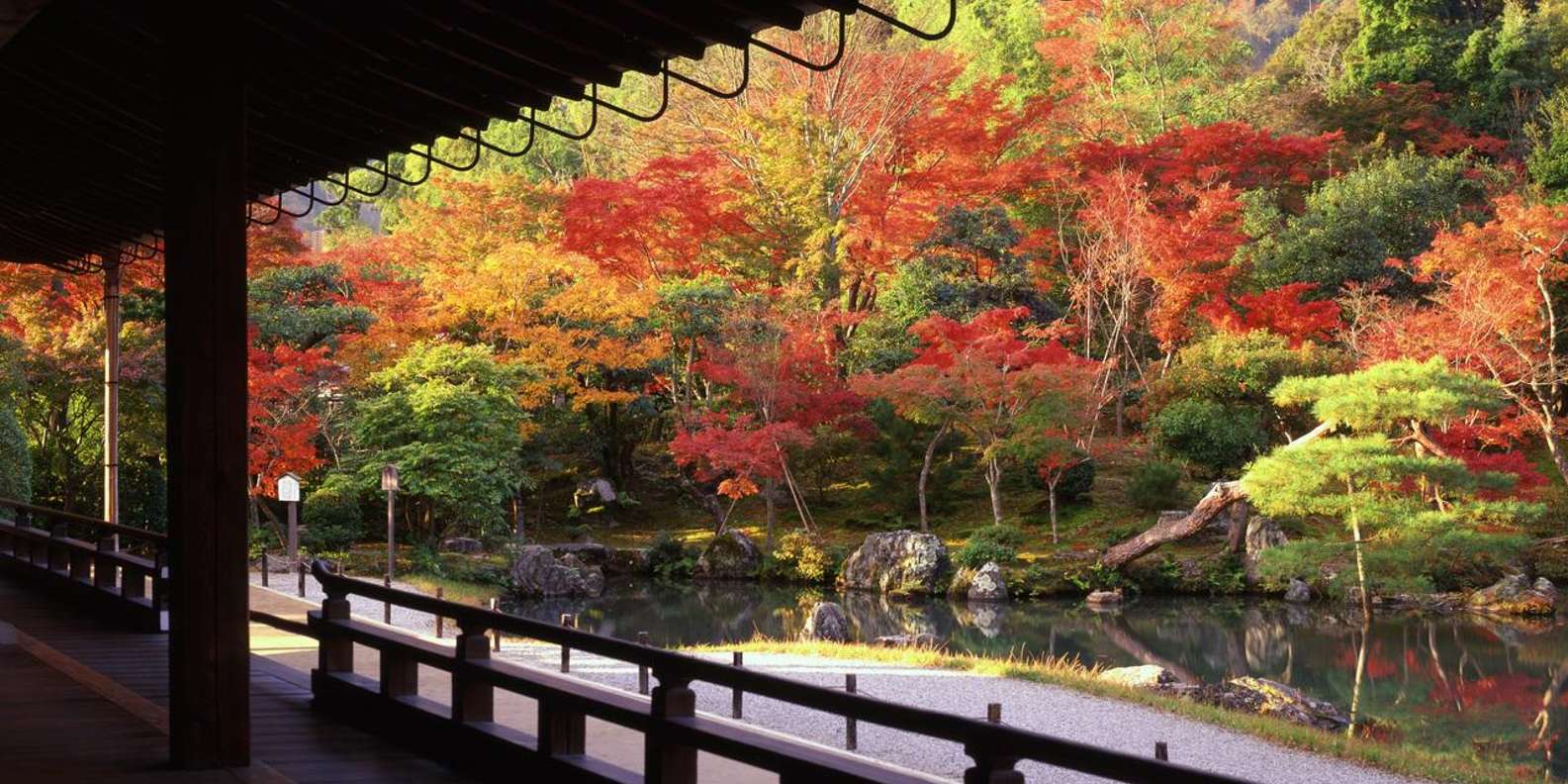 Kyoto experience — temples, geisha, bamboo grove — image 20