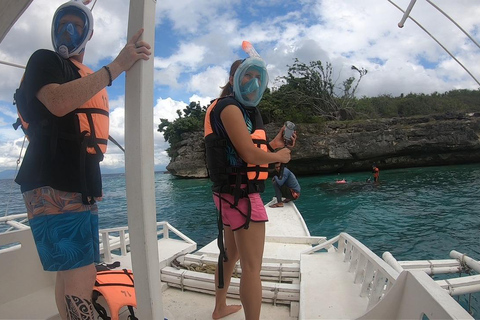 Cebu: Moalboal Island Hopping Paradise, Sardines Run