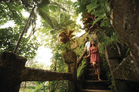 Parque Paronella: Tour nocturno y diurno con vida salvaje y selva tropical