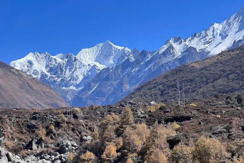 加德满都：朗唐谷地6日全包导游徒步之旅