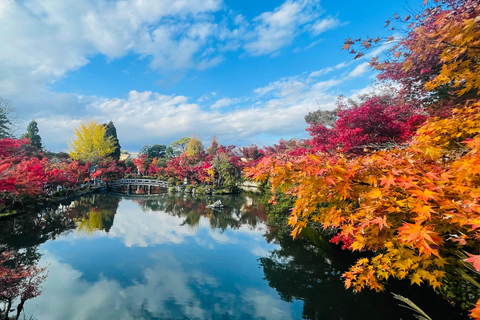 Private Shore Tour:Osaka, Kyoto, Nara, Kobe & Himeji