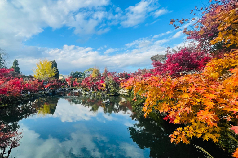 Private Shore Tour:Osaka, Kyoto, Nara, Kobe & Himeji