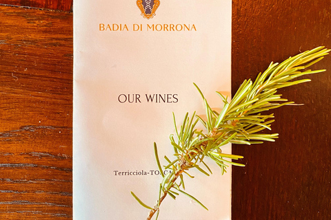 Winery tour and Tuscan wine tasting with culinary specialties