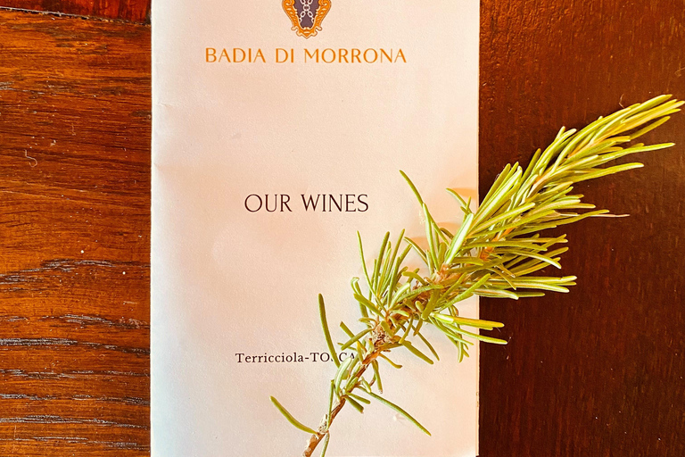 Winery tour and Tuscan wine tasting with culinary specialties