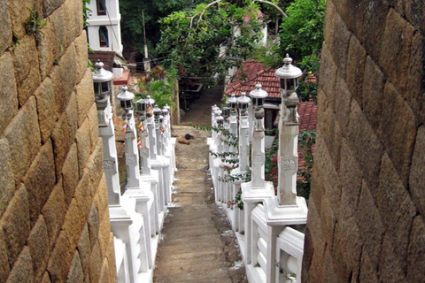 Kandy: Hidden Cave Temple Forest Hike & Lake View Summit