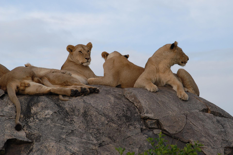 From Nairobi: Lake Nakuru & Naivasha National Park Day Tour Lake Nakuru & Naivasha