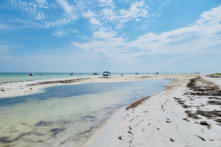 Tarpon Springs: Evening Dolphin Cruise Tarpon Springs: Sunset Dolphin Cruise with Refreshments