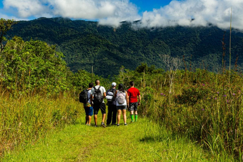 Santos: Waterfall Hike and Boat Ride at the Rain Forest from Sao Paulo: Waterfall Hike and Boat Ride at the R Forest