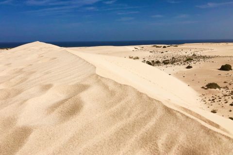 Fuerteventura North Full-Day Tour