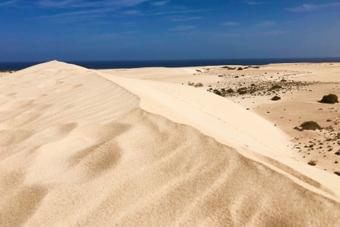 Tour de día completo en el norte de Fuerteventura