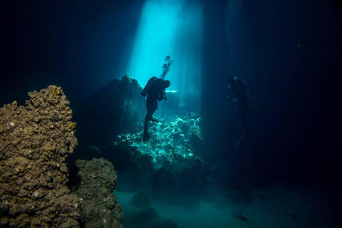 Creta: Experiencia de Buceo Guiado en Chania para Buceadores Certificados