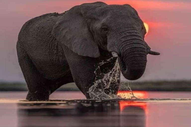 Explore Arusha National Park in Day Tour