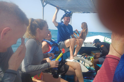 Mirissa: Private Eco Turtle Snorkelling Tour & Photography
