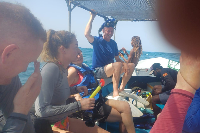 Mirissa: Private Eco Turtle Snorkelling Tour & Photography