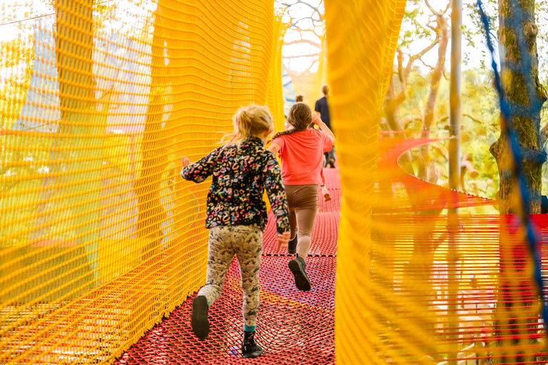Windermere: Treetop bouncy nets (Treetop Nets)