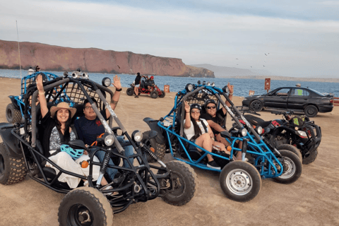 巴列斯塔斯群岛和帕拉卡斯保护区迷你越野车探险之旅巴列斯塔斯群岛与帕拉卡斯自然保护区迷你越野车探险之旅