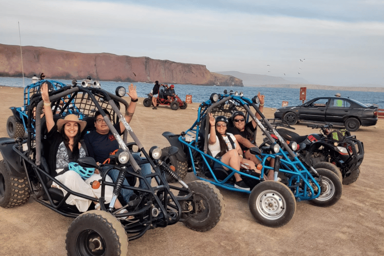 巴列斯塔斯群岛和帕拉卡斯保护区迷你越野车探险之旅巴列斯塔斯群岛与帕拉卡斯自然保护区迷你越野车探险之旅