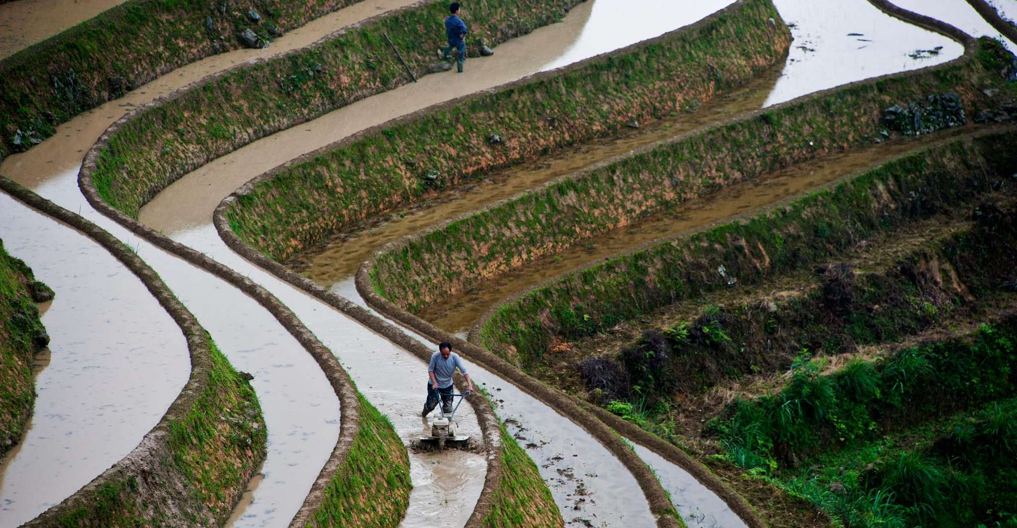 Guilin, Longji Rice Terraces&Culture Private Day Tour - Housity