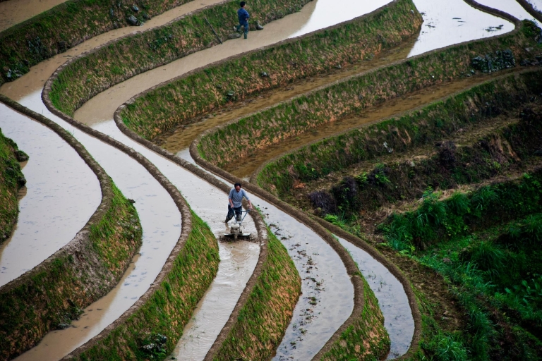 Guilin: Longji Rice Terraces&Culture Prywatna jednodniowa wycieczkaPrzewodnik francuski/hiszpański/niemiecki/włoski