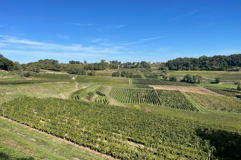 From Bordeaux: Morning in Saint-Emilion – Breakfast + Tour + Tasting Morning in Saint-Emilion from Bordeaux: Breakfast + Tour + Tasting