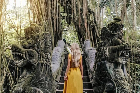 Floresta de macacos de Ubud, templo, terraço de arroz e balanço na selvaPasseio em Ubud - Tudo incluído