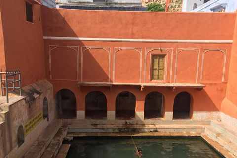 Scopri l&#039;arte di Jaipur