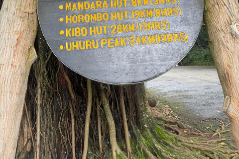 From Arusha: Kilimanjaro Mountain Day Hike