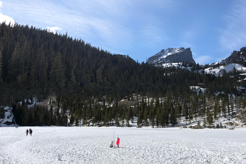 Denver: Estes Park and Rocky Mountain National Park Day Trip
