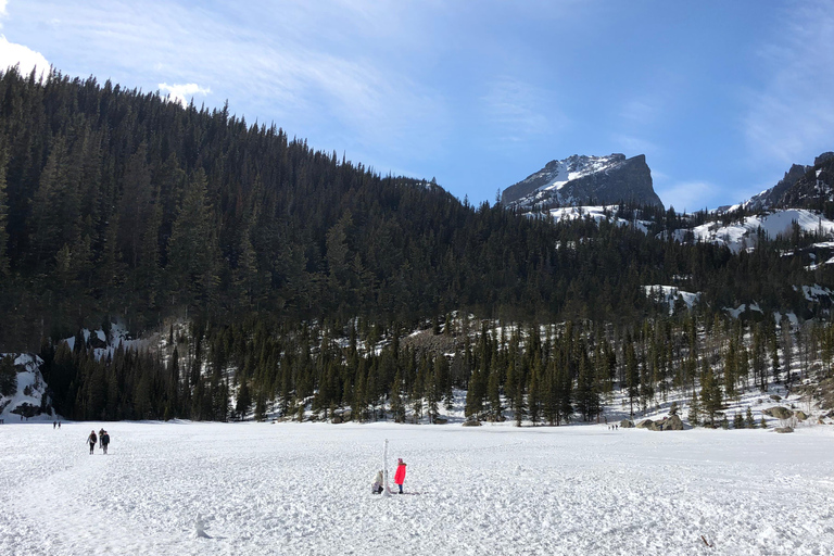 Denver: Estes Park and Rocky Mountain National Park Day Trip