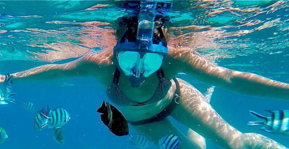 Zanzibar: Blue Lagoon Snorkeling, Starfish &,Paje Beach