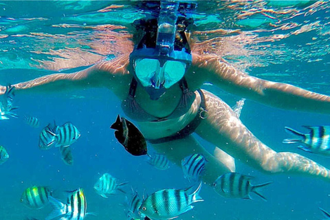 ZANZIBAR: Laguna Blu, Foresta di Jozani, Tartarughe marine e The Rock