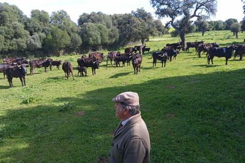 Seville: Bull Ranch, Winery & Rábida Monastery Tour