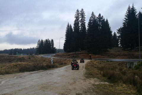 Schneemobil-, ATV- oder Buggy-Tour ab BukarestSchneemobil Privat