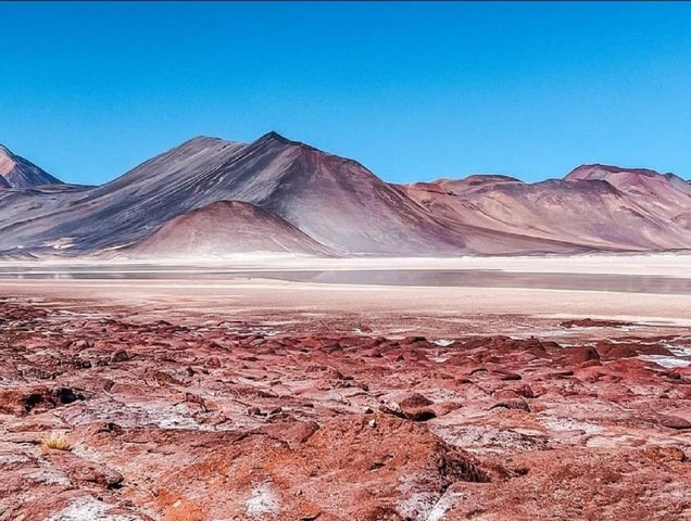 From San Pedro de Atacama: Lagoons and Piedras Reds