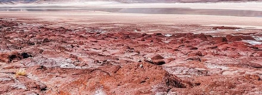 Depuis San Pedro de Atacama : Lagunes et Piedras Rouges