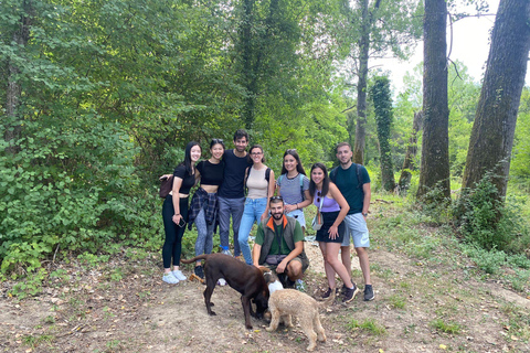 Ljubljana: Istria Truffle Hunting Tour with Local Hunters