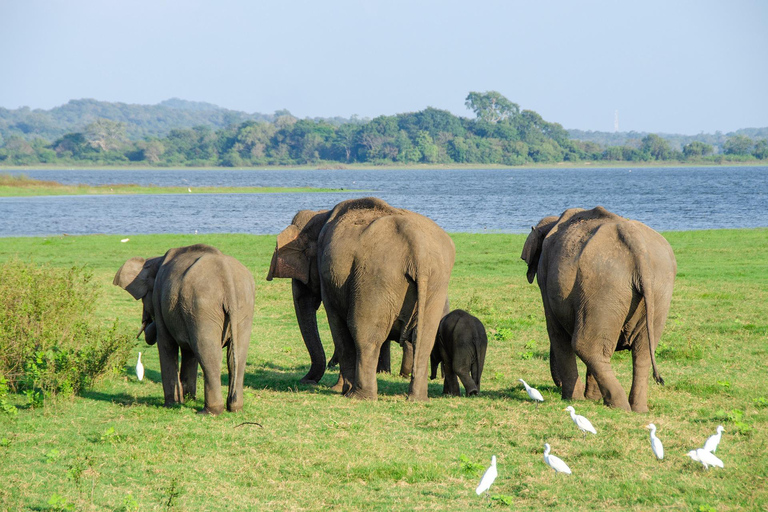 Scenic Sri Lanka 4-day tour