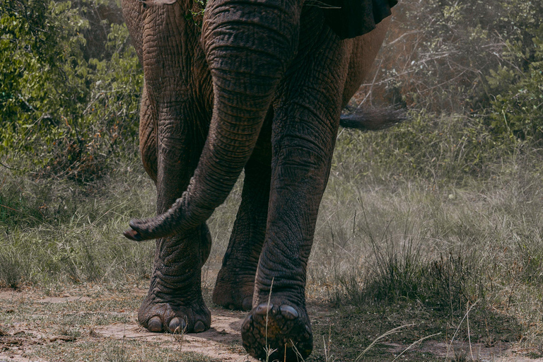 Kigali: Akagera National Park Safari with Boat Cruise