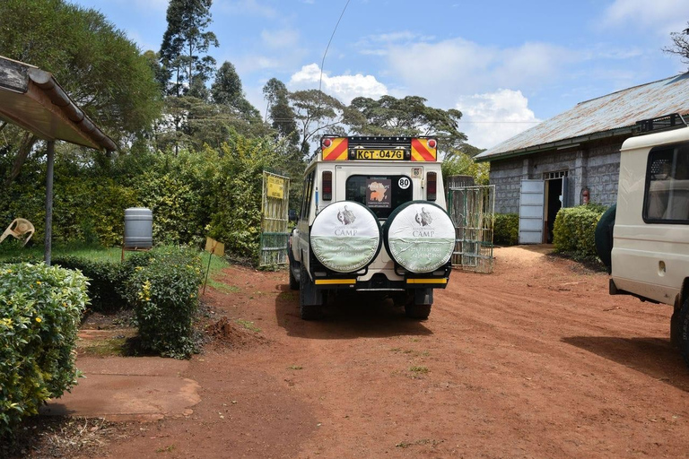 3 jours de safari à AmboseliExpédition de 3 jours à Amboseli et Tsavo